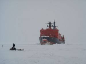 Научно-исследовательская станция «Северный полюс» осталась без денег