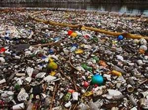 К Америке подплывают тонны мусора